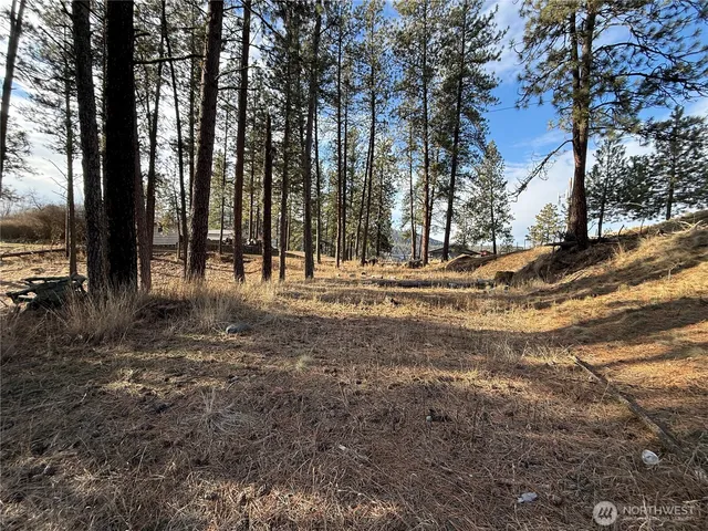 $45,000 | 0 Adams Street, Republic, WA 99166