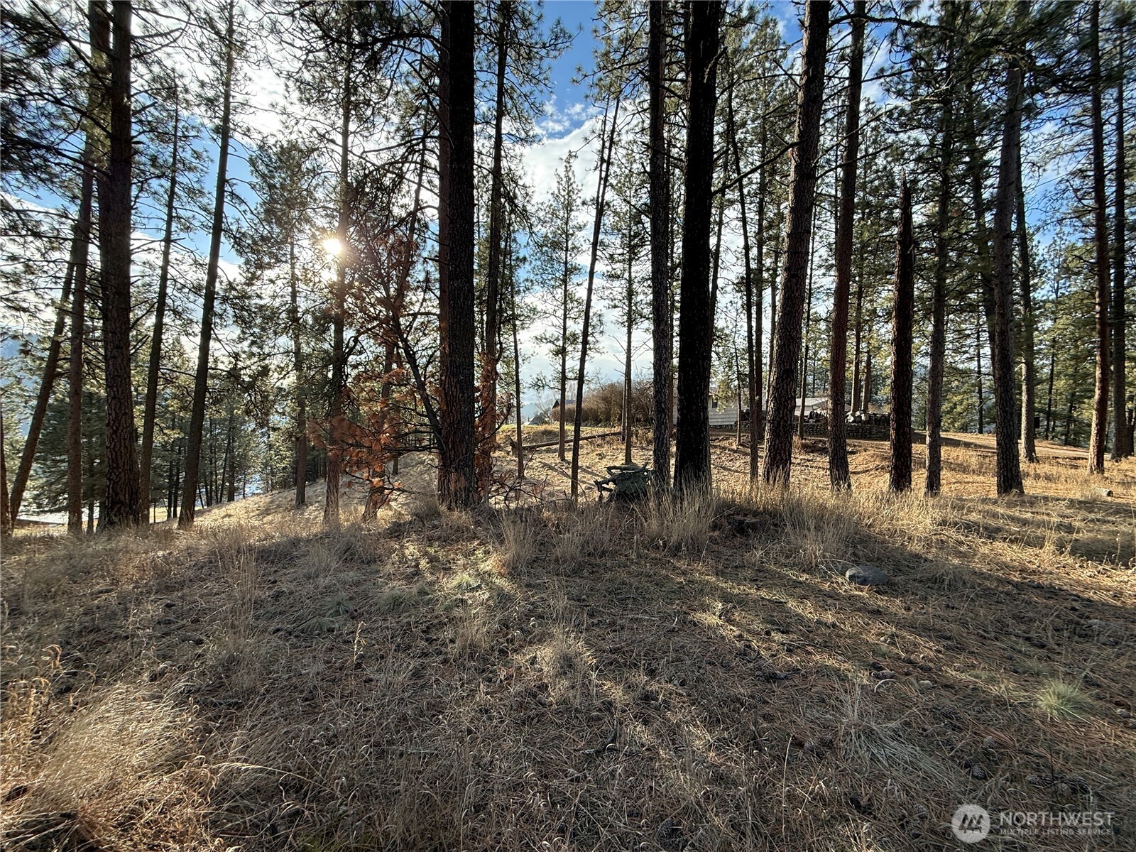 0 Adams Street Republic, WA 99166 - Photo 13 of 13