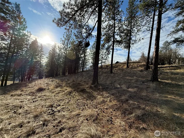 $45,000 | 0 Adams Street, Republic, WA 99166