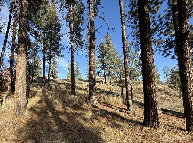 $45,000 | 0 Adams Street, Republic, WA 99166