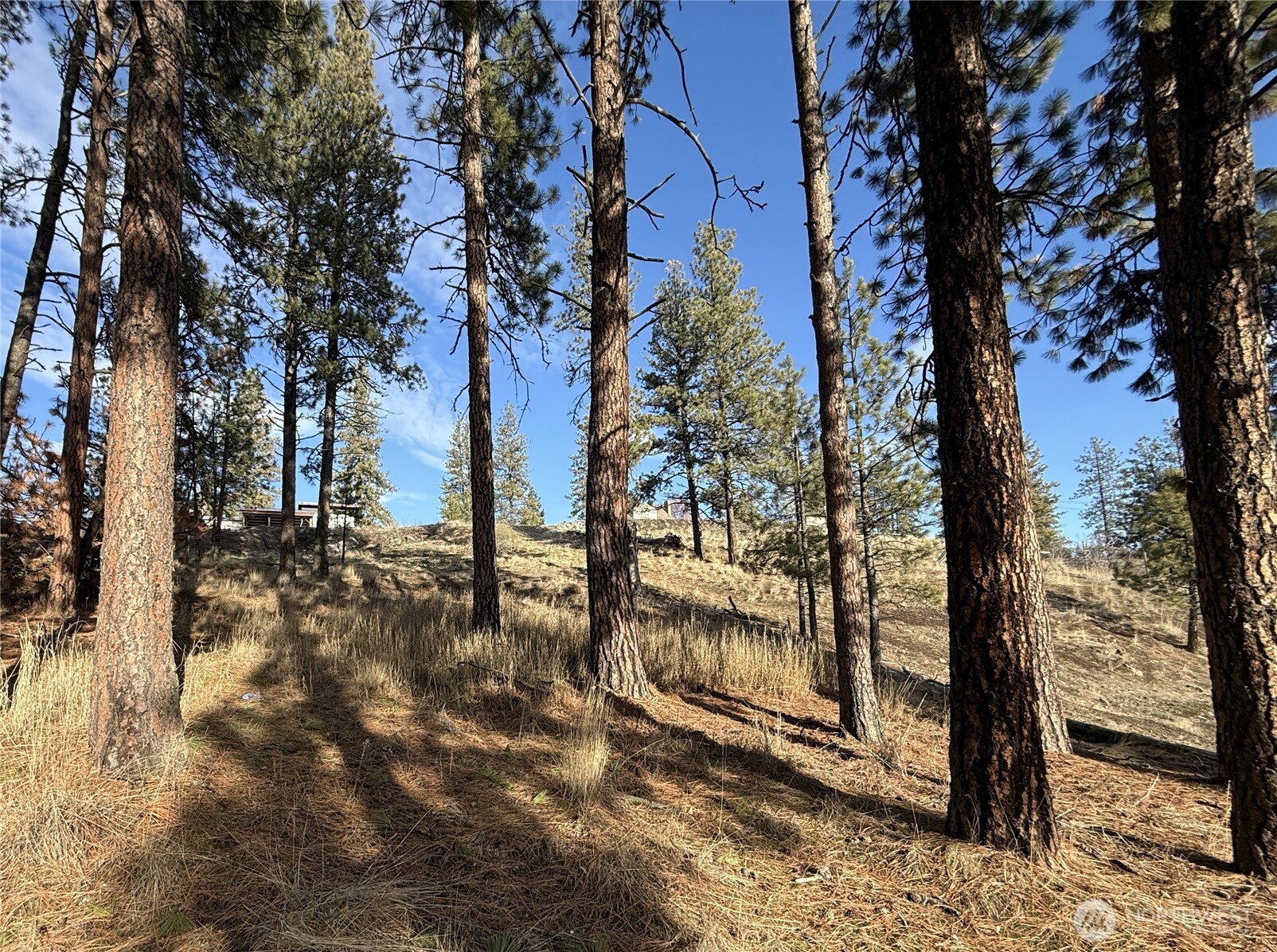 0 Adams Street Republic, WA 99166 - Photo 3 of 13