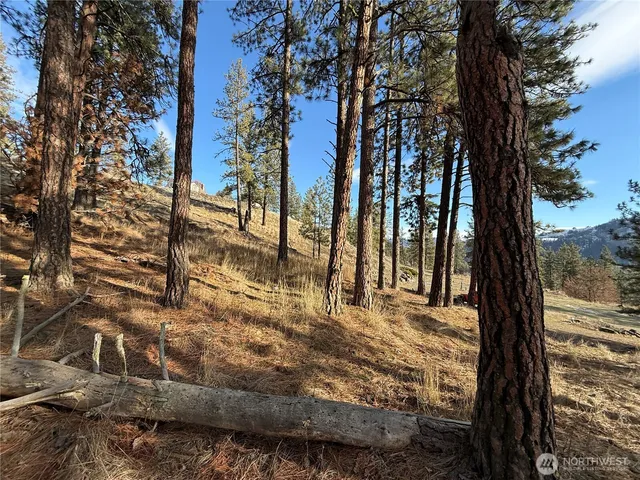 $45,000 | 0 Adams Street, Republic, WA 99166