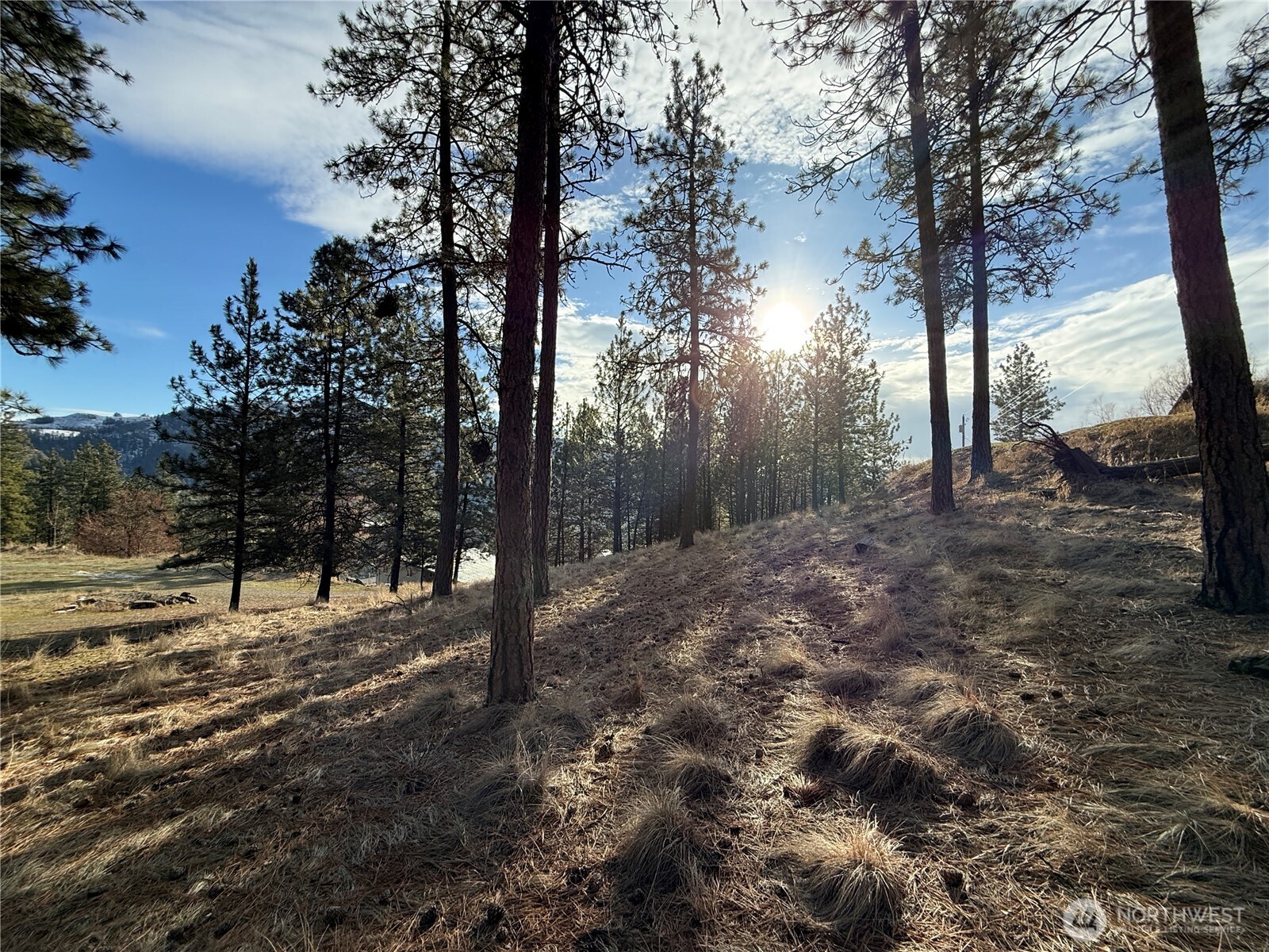 0 Adams Street Republic, WA 99166 - Photo 5 of 13