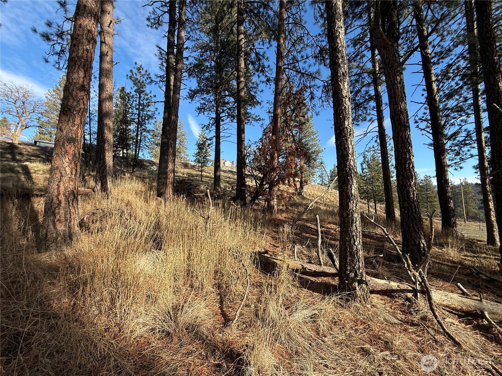 0 Adams Street Republic, WA 99166 - Photo 6 of 13