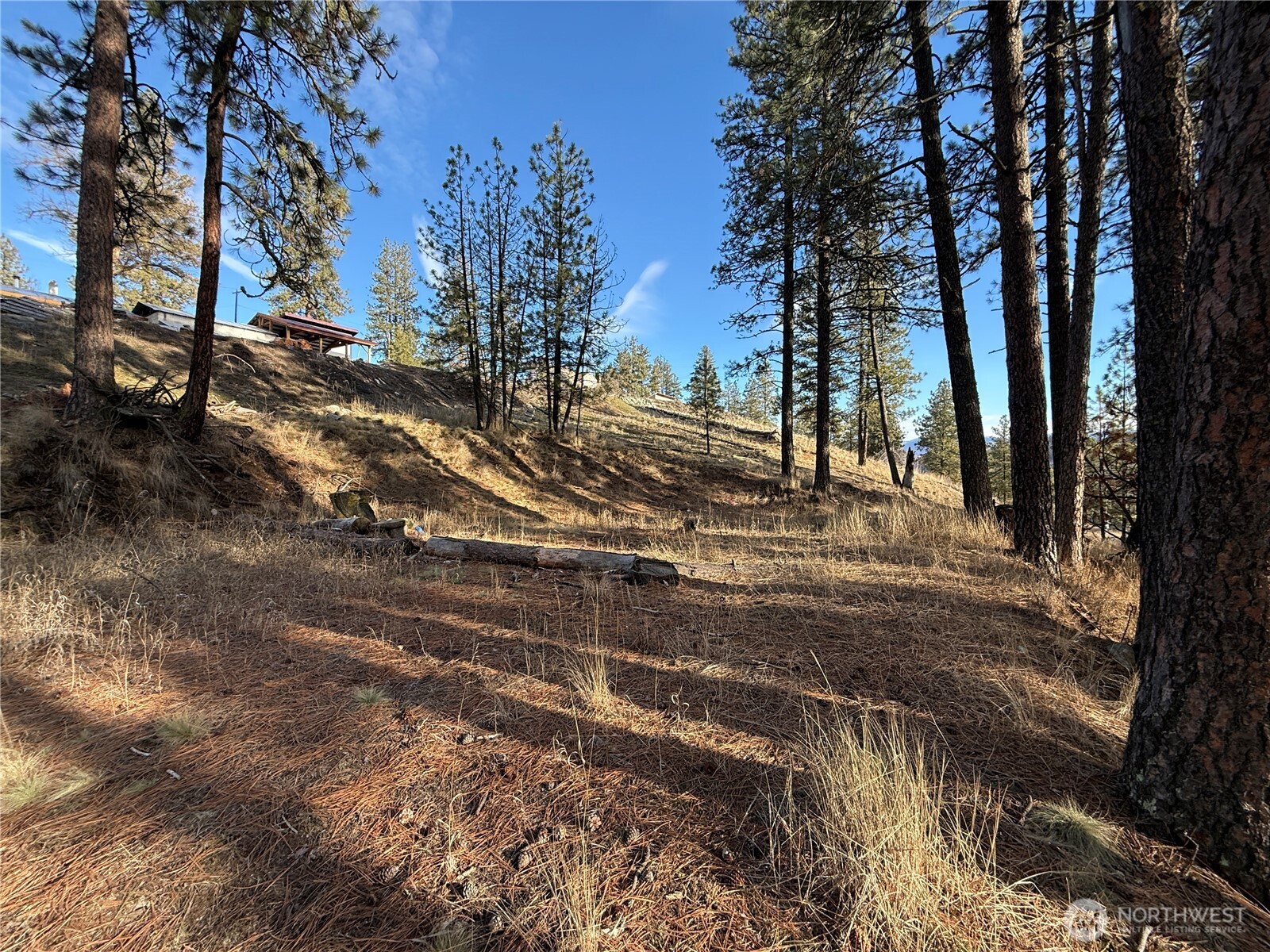 0 Adams Street Republic, WA 99166 - Photo 7 of 13