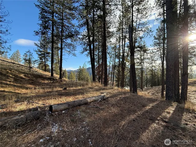 $45,000 | 0 Adams Street, Republic, WA 99166