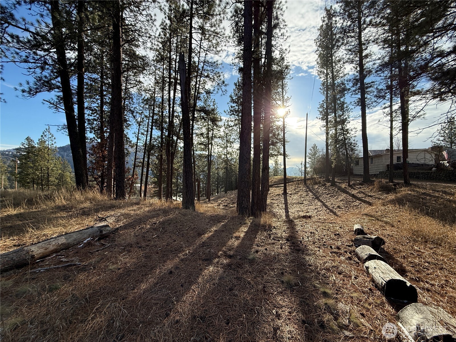 0 Adams Street Republic, WA 99166 - Photo 9 of 13