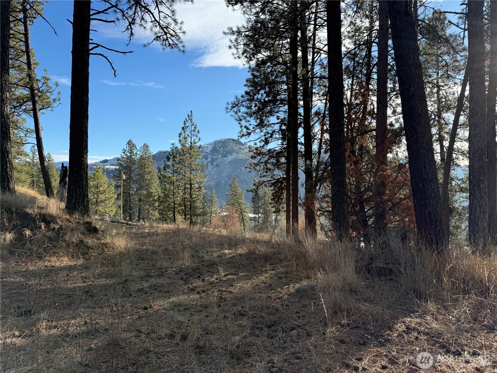 0 Adams Street Republic, WA 99166 - Photo 10 of 13