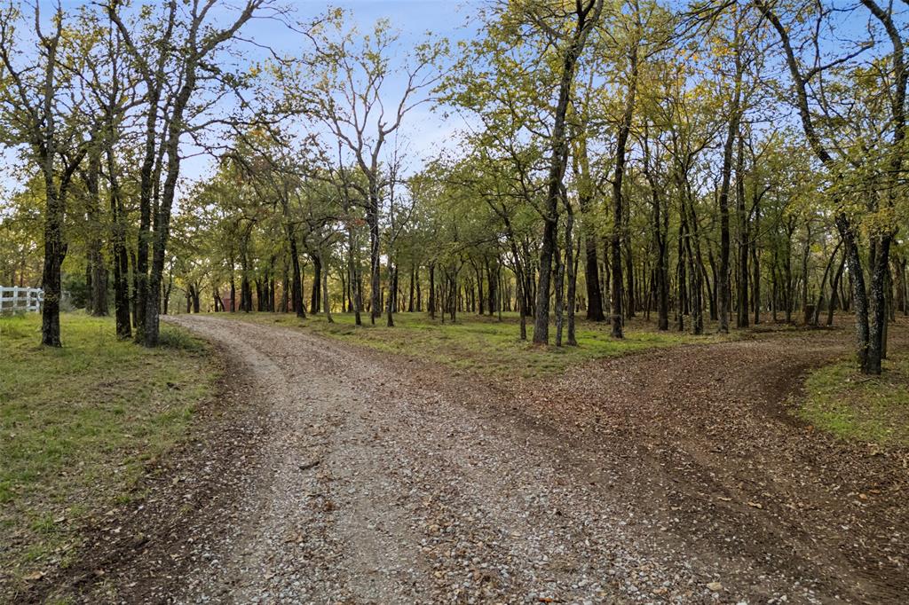 350 West Dickson Lane Oak Point, TX 75068 - Photo 6 of 23 a view of outdoor space with trees