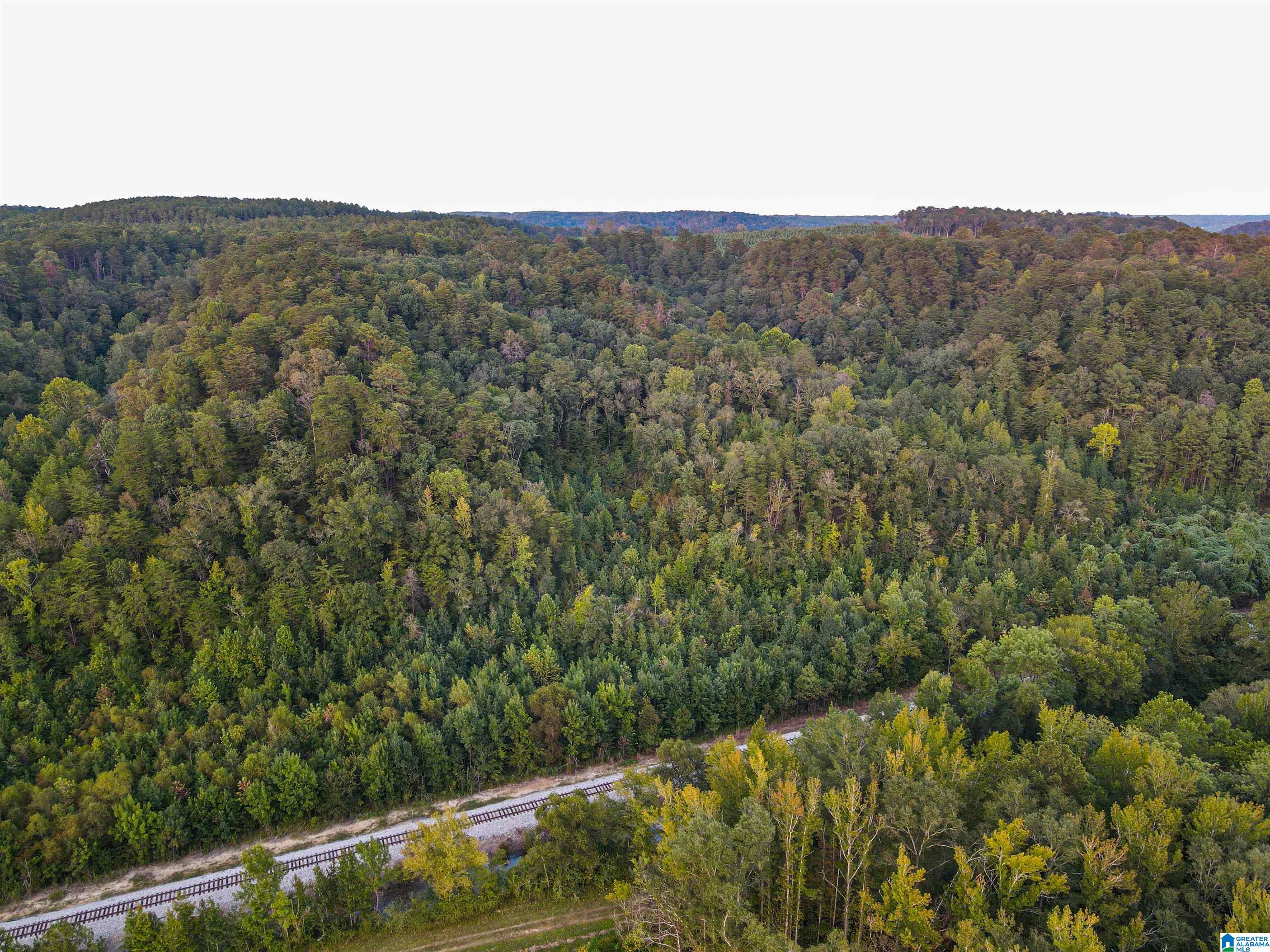 1 Highway 18, Unit 1 Oakman, AL 35579 - Photo 23 of 46
