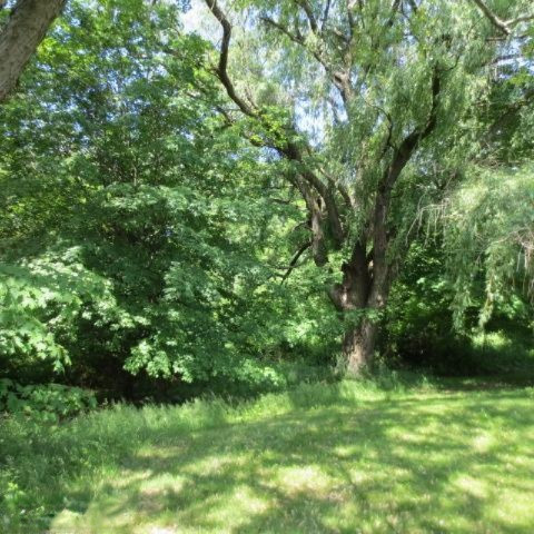 5148 Spring Hill Road Coloma, MI 49038 - Photo 4 of 22 Additional Photo