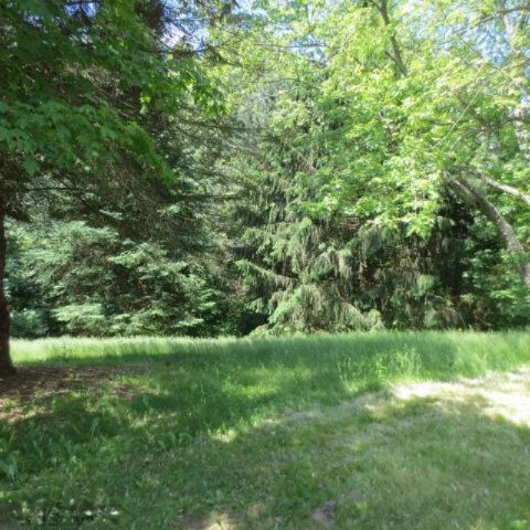 5148 Spring Hill Road Coloma, MI 49038 - Photo 5 of 22 Additional Photo