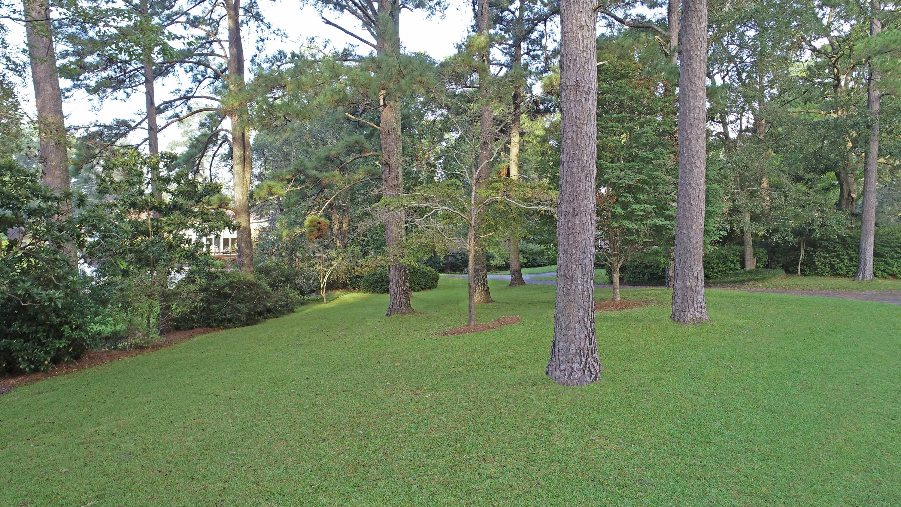 465 Hungerpiller Street Elloree, SC 29047 - Photo 3 of 29 hungerpillar2