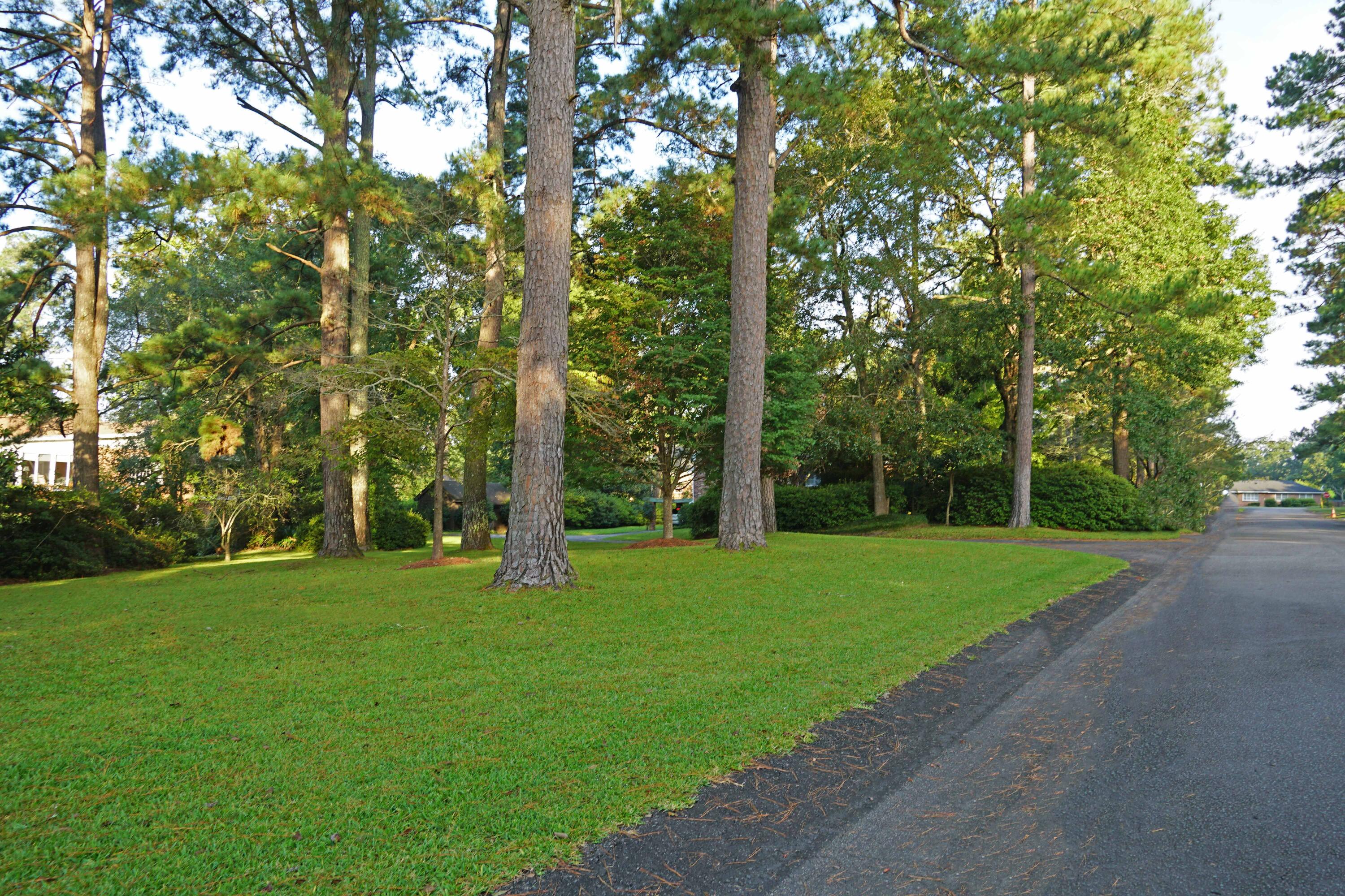 465 Hungerpiller Street Elloree, SC 29047 - Photo 29 of 29 hungerpillar9
