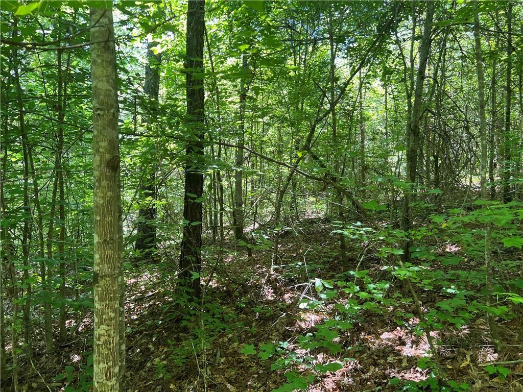 0 Fortner Road Ball Ground, GA 30107 - Photo 2 of 22