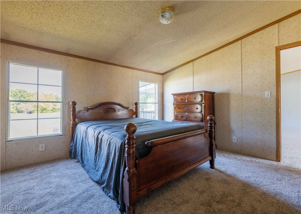 73550 Old Twenty One Road Kimbolton, OH 43749 - Photo 24 of 35 Carpeted bedroom featuring vaulted ceiling, a textured ceiling, and crown molding
