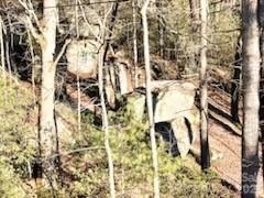 0 Green River Road Zirconia, NC 28790 - Photo 15 of 27 walk in closet