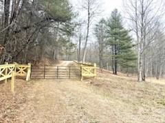 0 Green River Road Zirconia, NC 28790 - Photo 20 of 27 a view of backyard with large trees