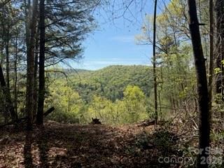 0 Green River Road Zirconia, NC 28790 - Photo 2 of 27 a view of a forest that has a tree