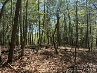 0 Green River Road Zirconia, NC 28790 - Photo 6 of 27 a view of outdoor space with lots of trees