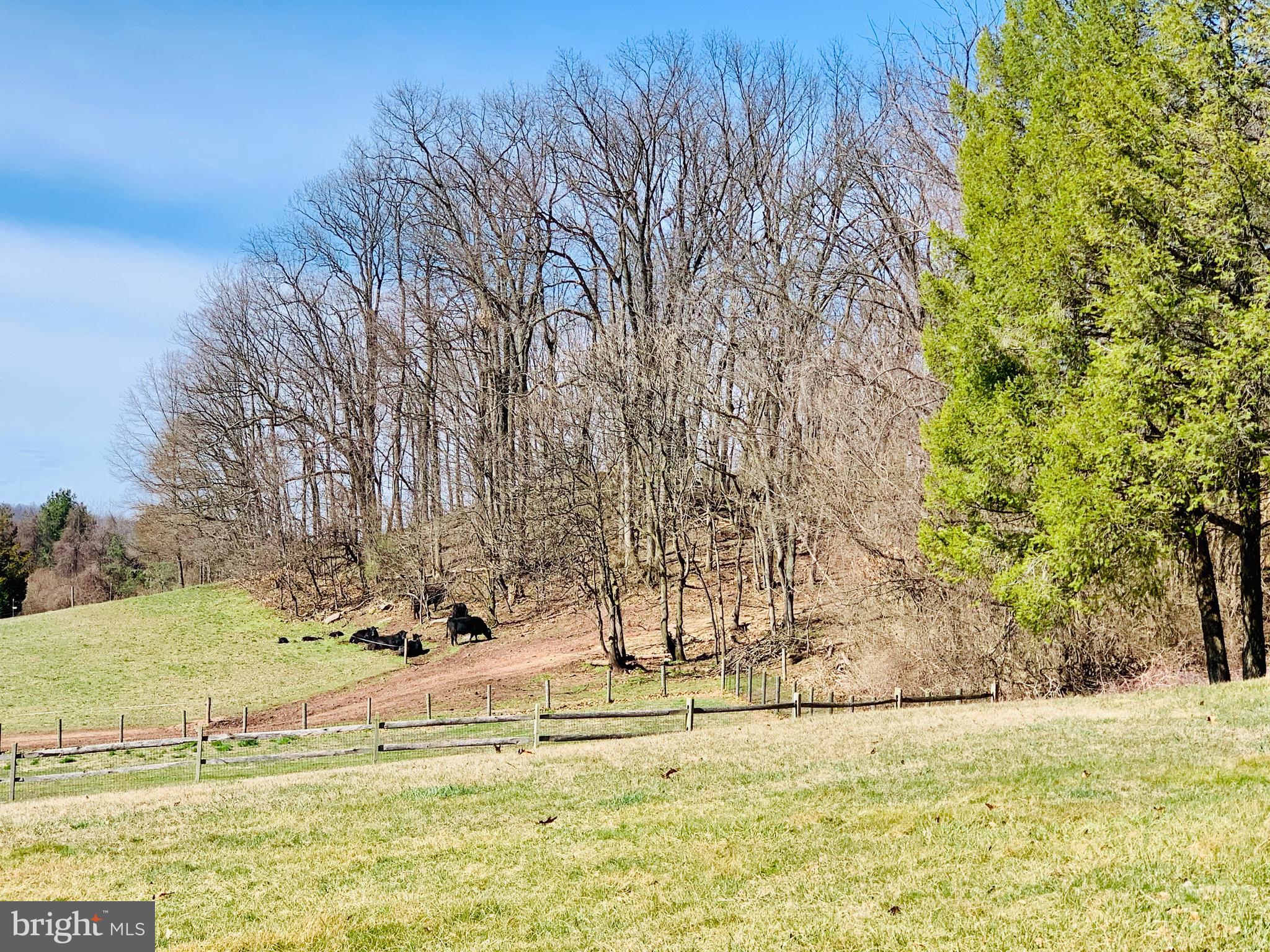 24 Gill Road Mohnton, PA 19540 - Photo 14 of 17