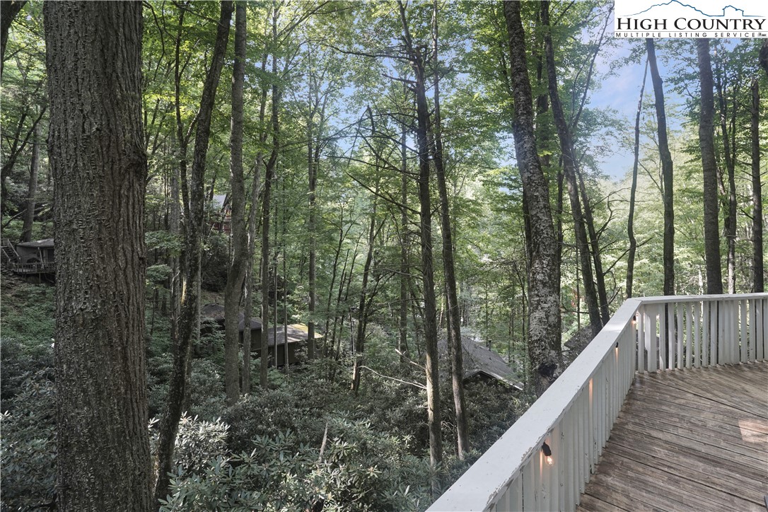 560 Laurel Ridge Banner Elk, NC 28604 - Photo 22 of 33