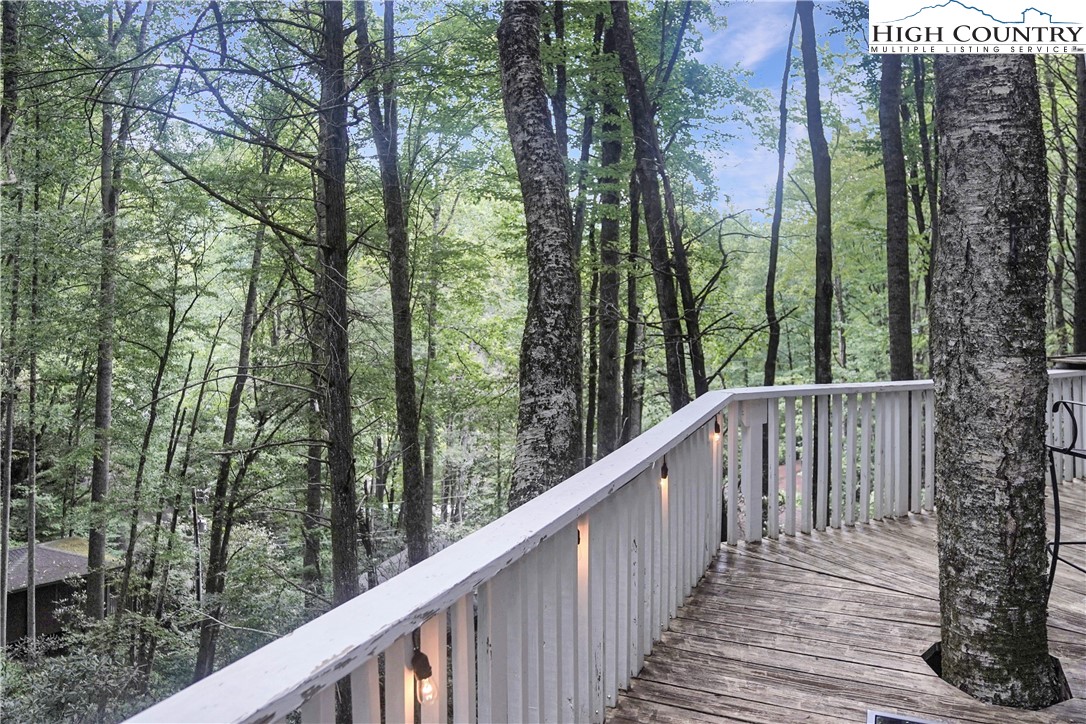 560 Laurel Ridge Banner Elk, NC 28604 - Photo 25 of 33