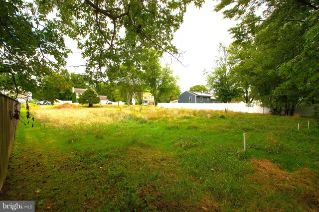 a view of yard with tree s
