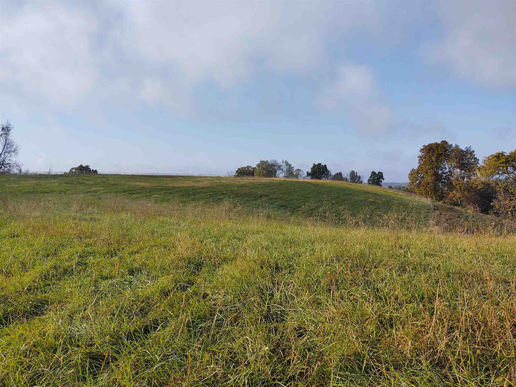 165 Poplar Thicket Road Alexandria, KY 41001 - Photo 4 of 16 Gallery Image 4