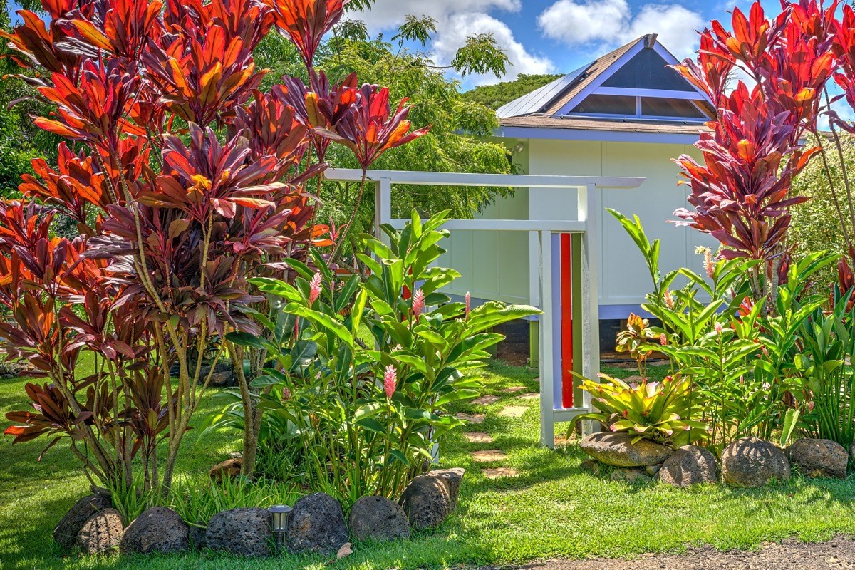 4680 Apopo Road Kapaa, HI 96746 - Photo 1 of 20 a backyard of a house with lots of green space