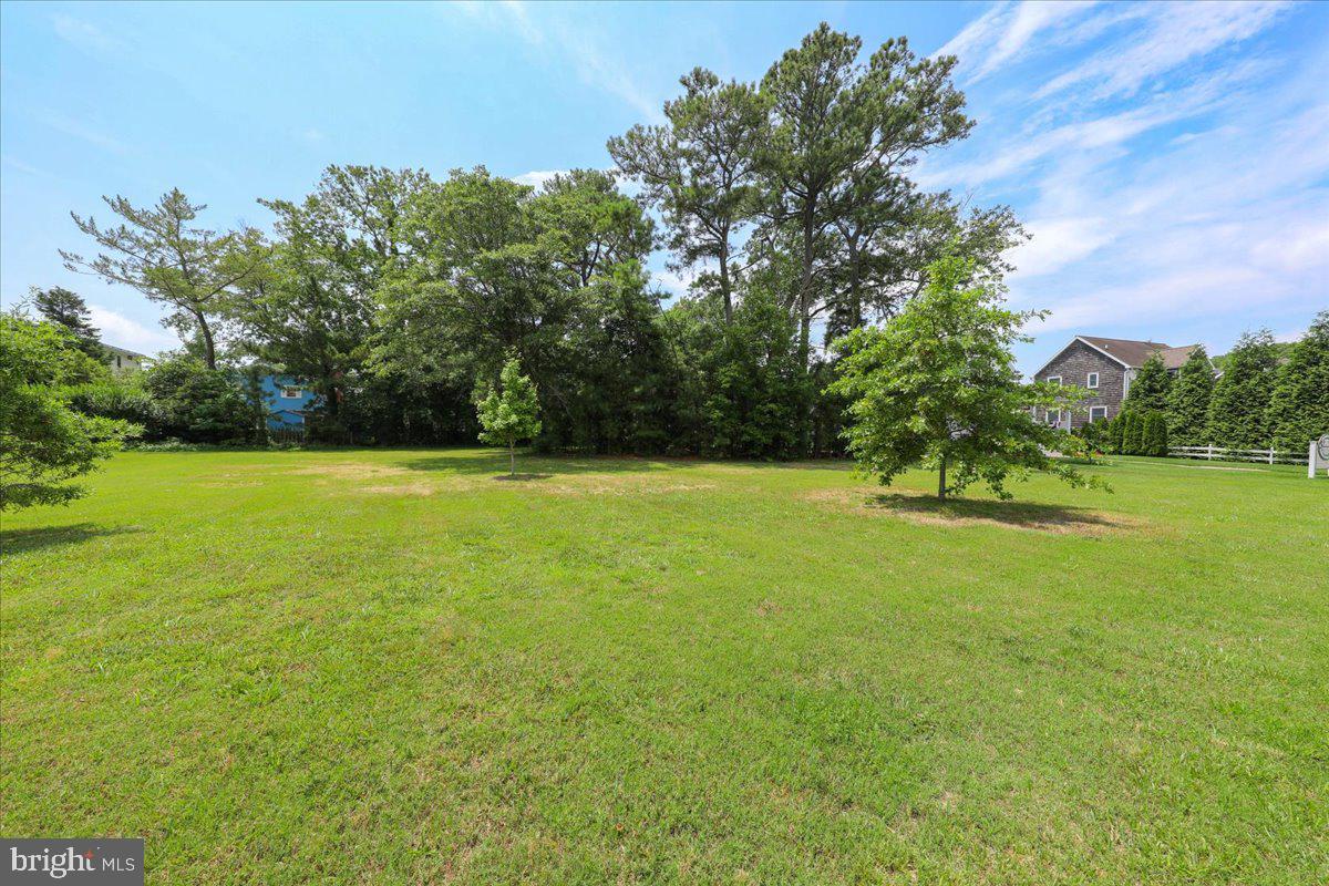 312 Garfield Parkway Bethany Beach, DE 19930 - Photo 11 of 16 a view of a trees with a big yard