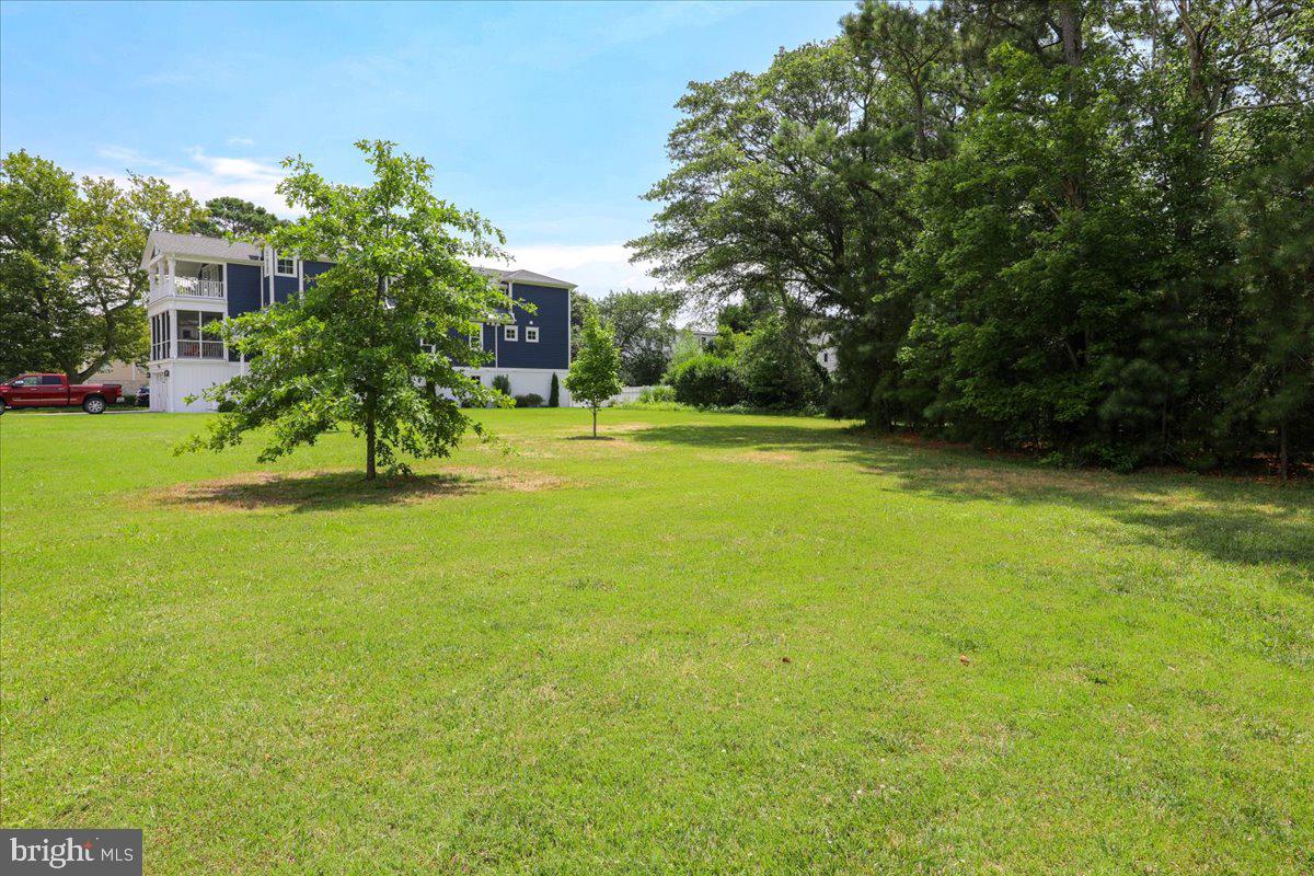 312 Garfield Parkway Bethany Beach, DE 19930 - Photo 7 of 16 a view of a trees in a yard