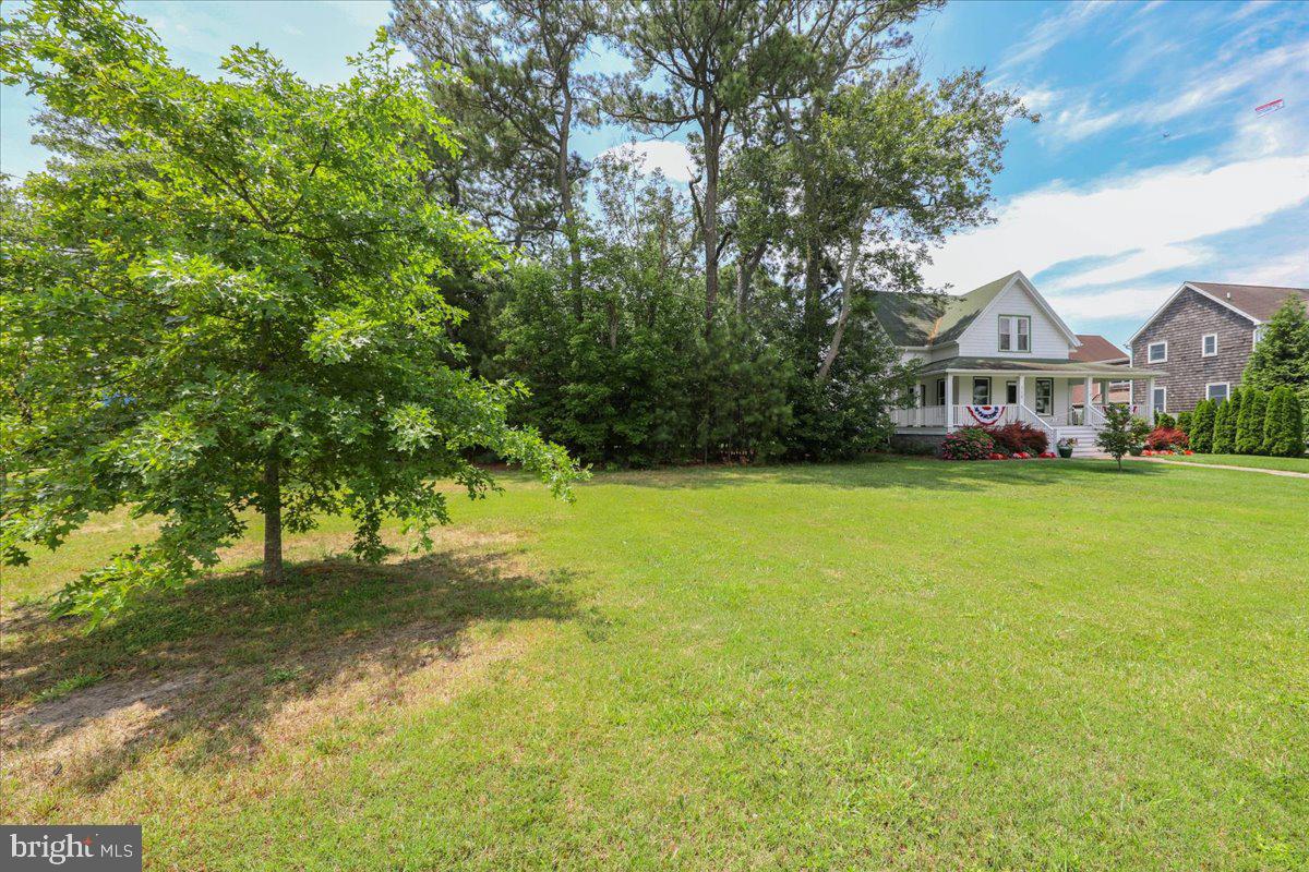 312 Garfield Parkway Bethany Beach, DE 19930 - Photo 8 of 16 a view of a big yard with large trees