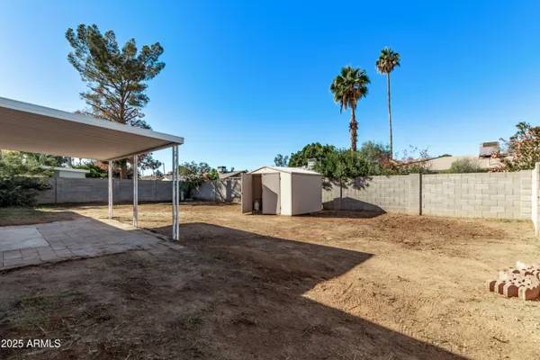 a view of a backyard