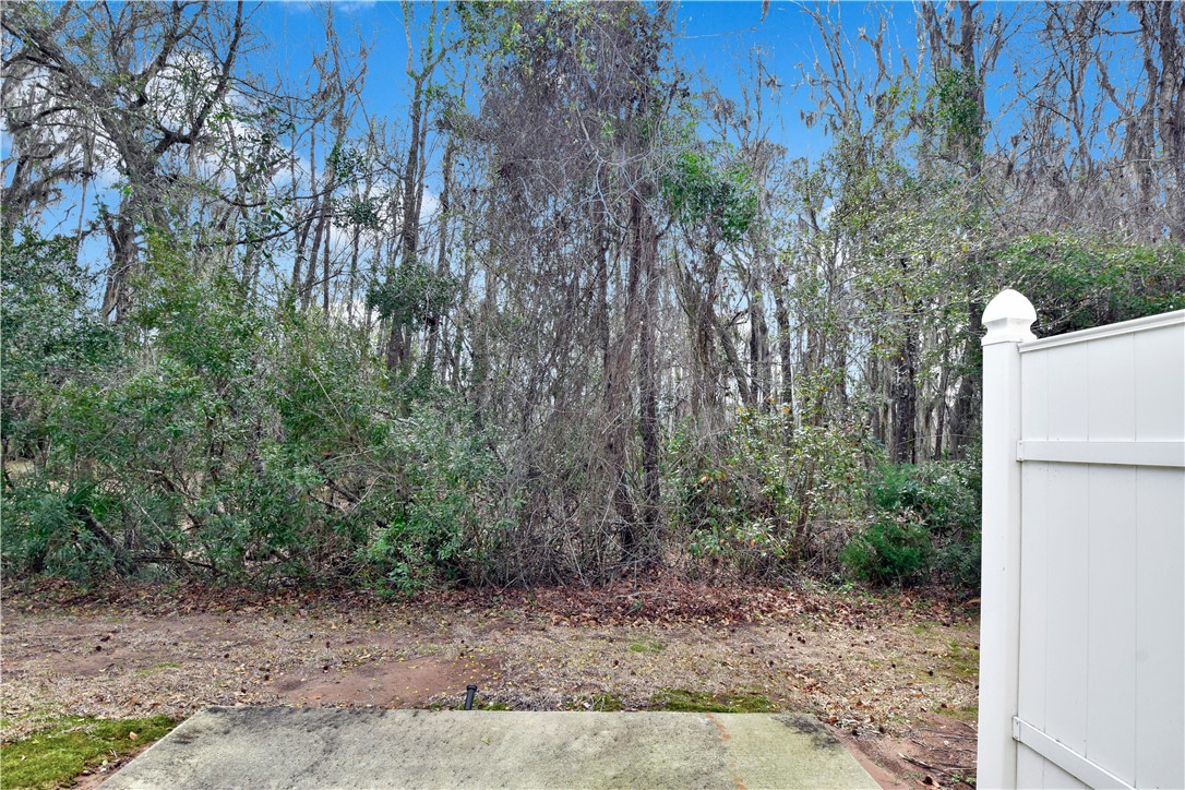 259 Promise Lane Brunswick, GA 31525 - Photo 17 of 21