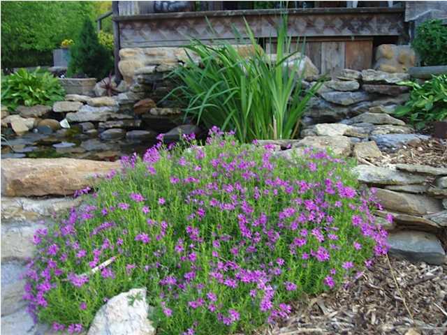 8019 Snow Hill Road Ooltewah, TN 37363 - Photo 27 of 30 Additional Photo