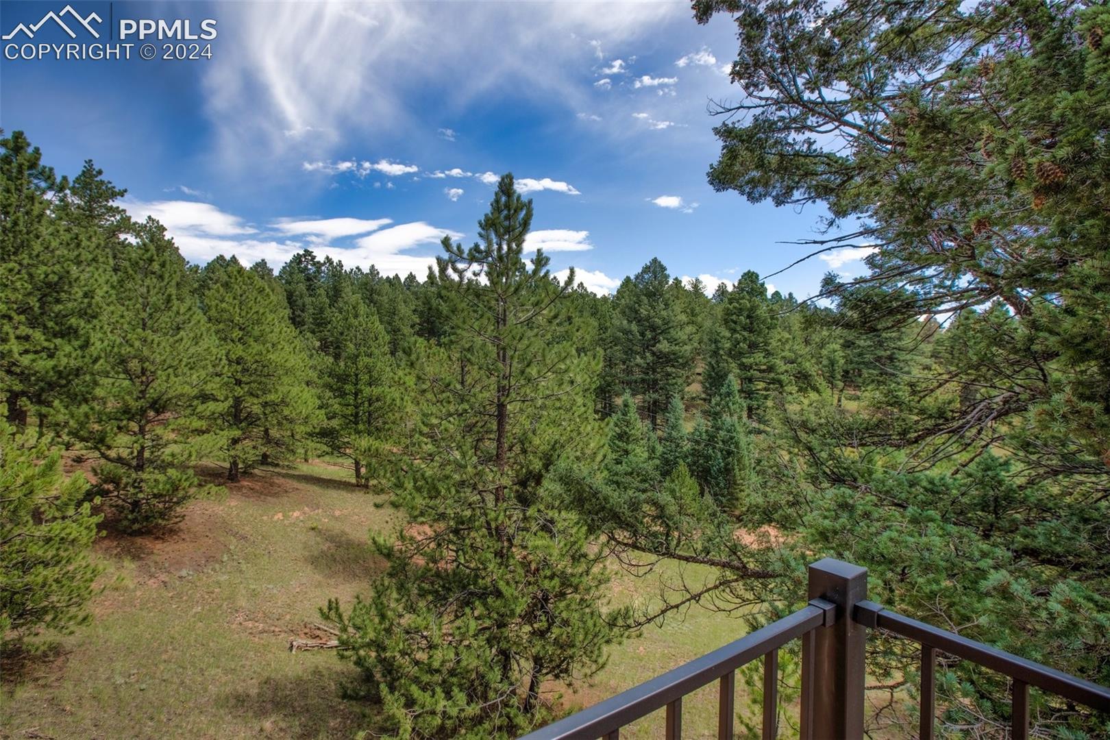 724 Pinewood Road Florissant, CO 80816 - Photo 39 of 50 Gallery Image 39