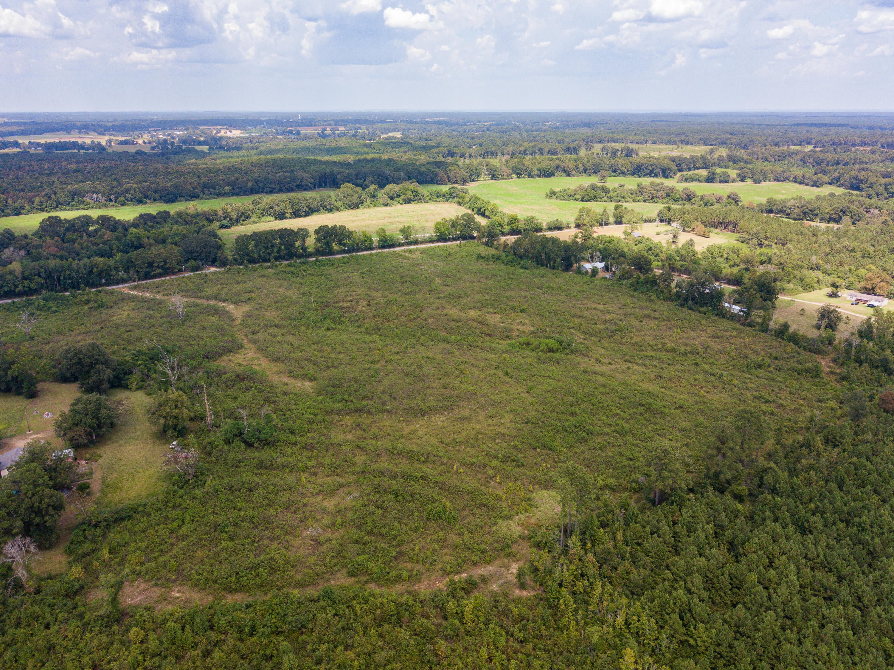 0 Henry Smith Road Tylertown, MS 39667 - Photo 6 of 32 Gallery Image 6