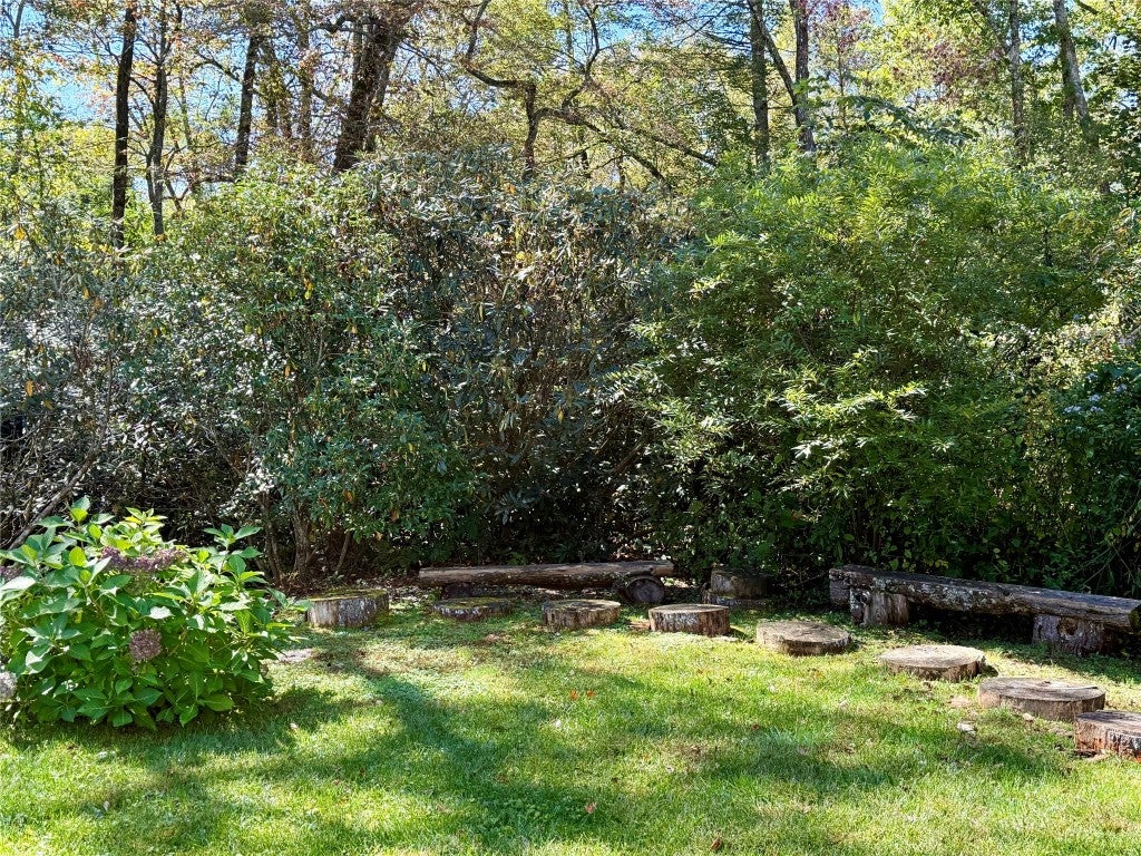 15 Elk Cv Road Cashiers, NC 28717 - Photo 20 of 21 Gallery Image 20