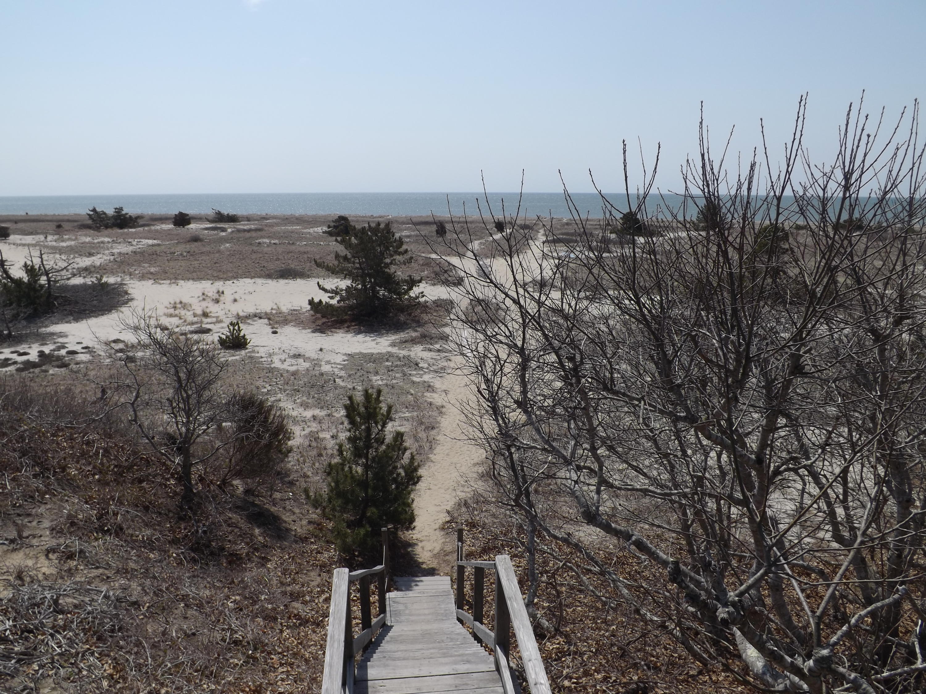 3 Bayview Road Harwich Port, MA 02646 - Photo 17 of 18 DSCF2645