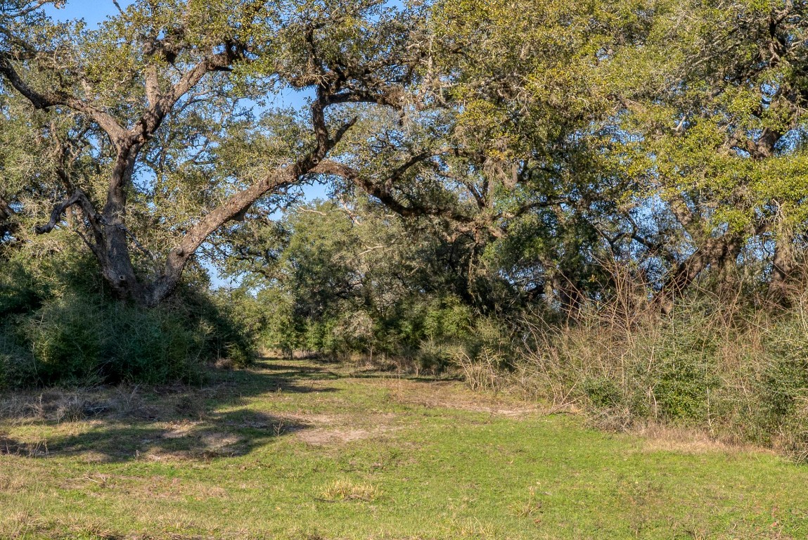 0 William Penn Road Washington, TX 77880 - Photo 6 of 10