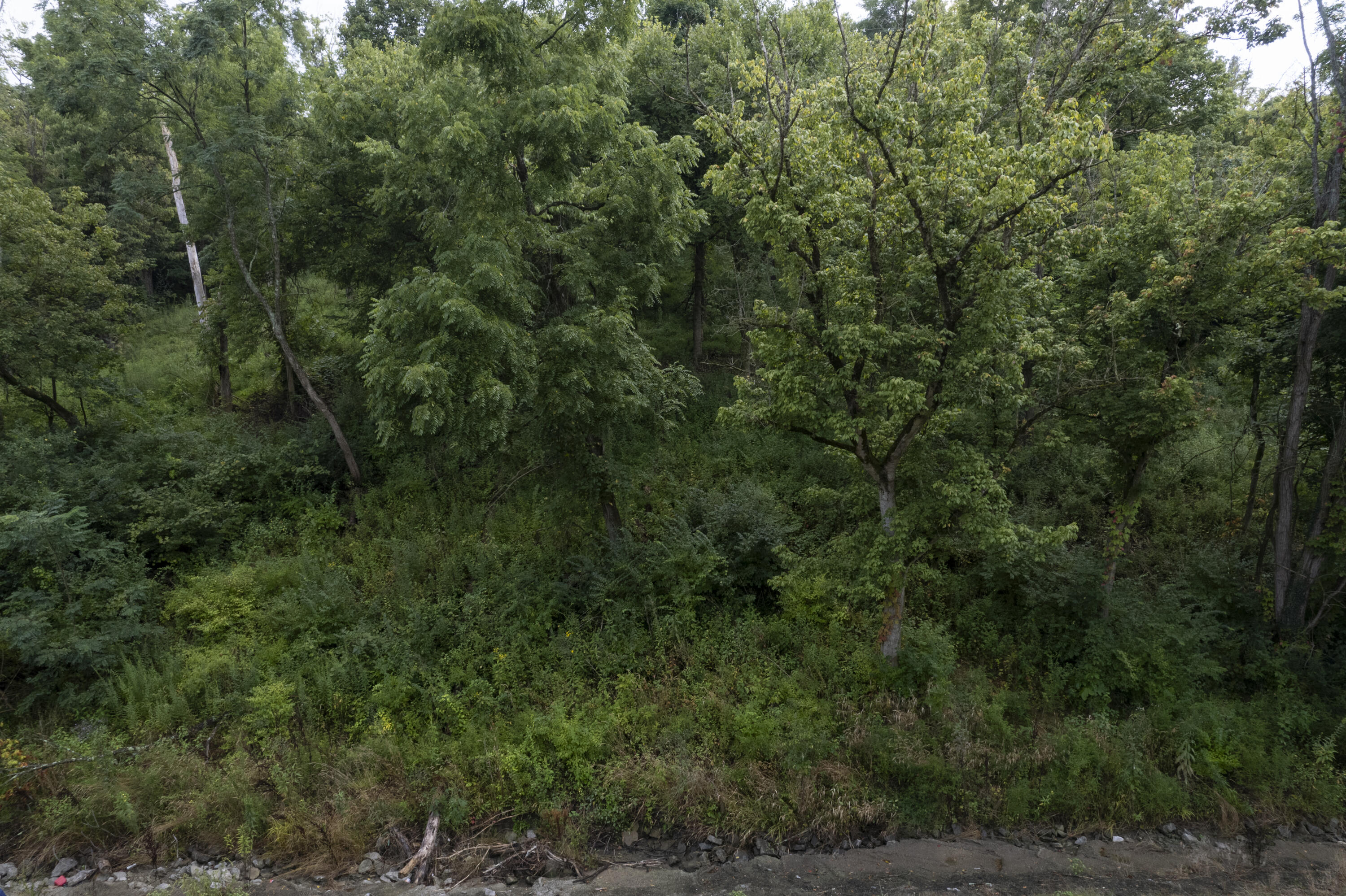 1419 Industrial Road Newport, KY 41076 - Photo 3 of 19