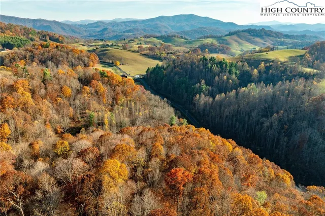 a view of a city from a yard