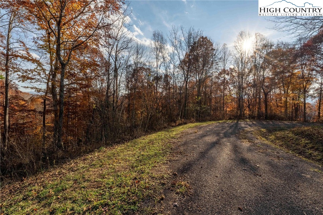 Lot 51 Redbud Circle Butler, TN 37640 - Photo 2 of 31 a view of road with trees