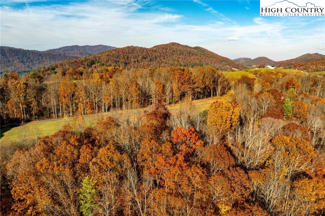 Lot 51 Redbud Circle Butler, TN 37640 - Photo 21 of 31 a view of mountains and valleys