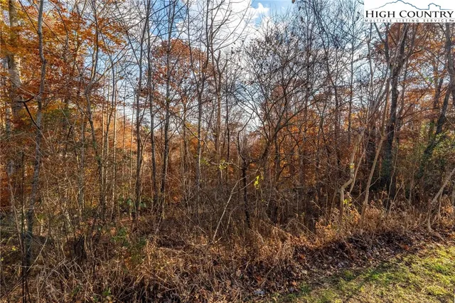 a view of outdoor space with deck and tree