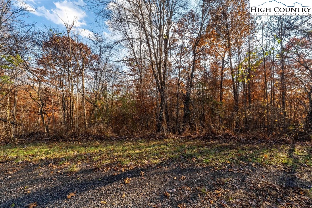 Lot 51 Redbud Circle Butler, TN 37640 - Photo 24 of 31 a view of outdoor space with deck and tree
