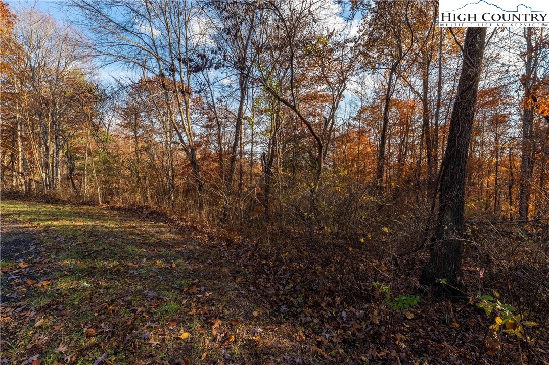 Lot 51 Redbud Circle Butler, TN 37640 - Photo 25 of 31 a view of outdoor space with deck and tree