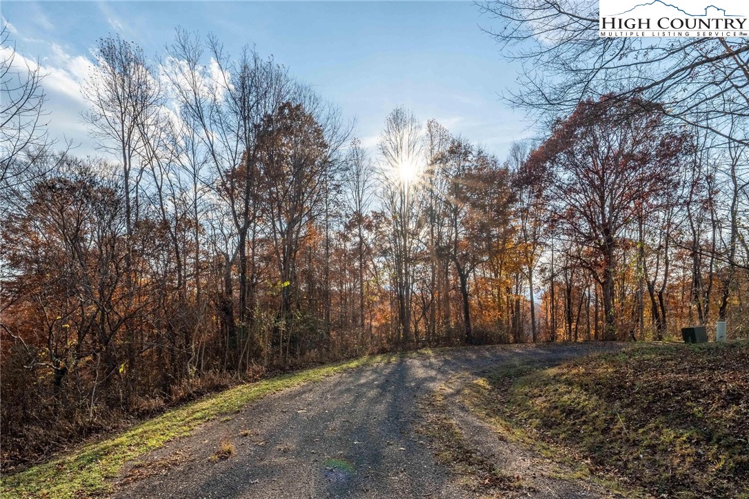 Lot 51 Redbud Circle Butler, TN 37640 - Photo 27 of 31 a view of outdoor space with trees