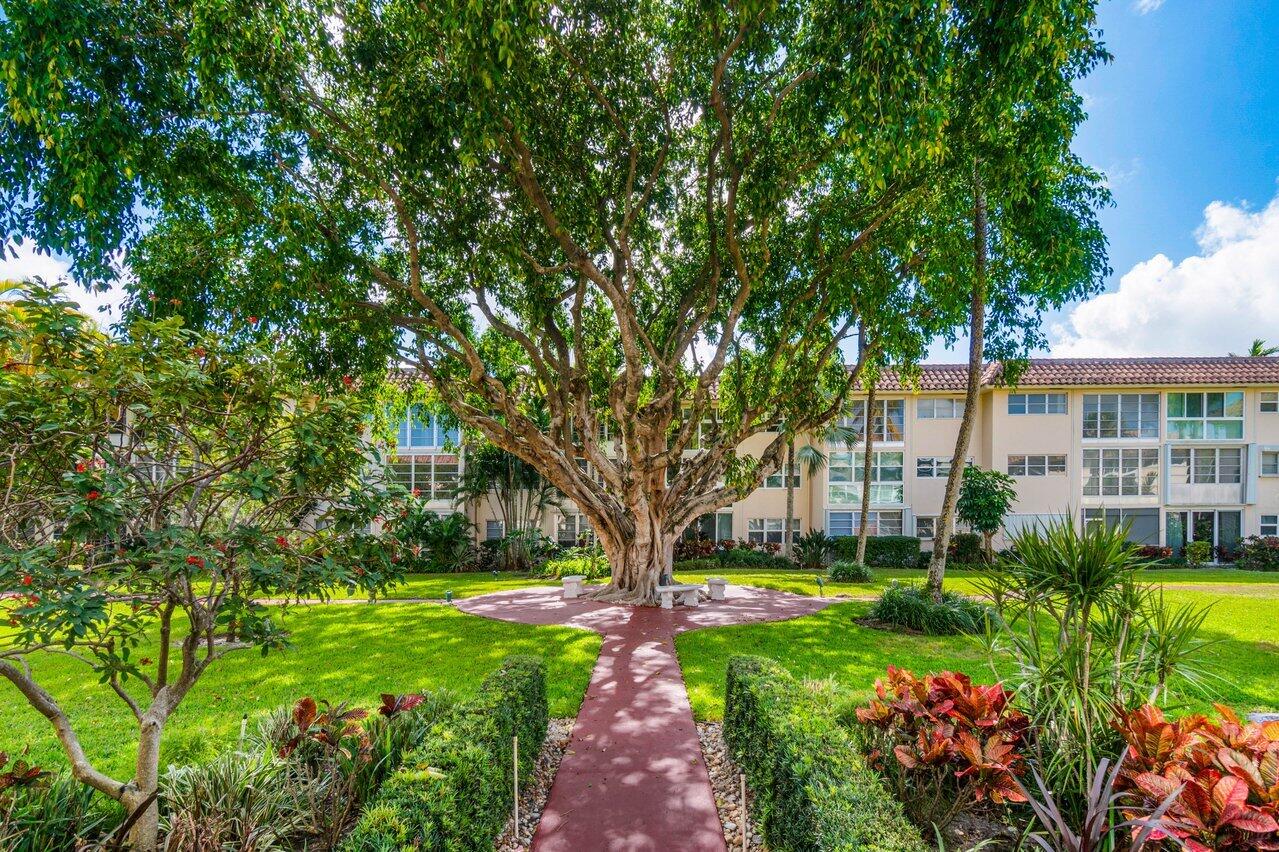 400 Northeast 20th Street, Unit A107 Boca Raton, FL 33431 - Photo 23 of 41 Garden